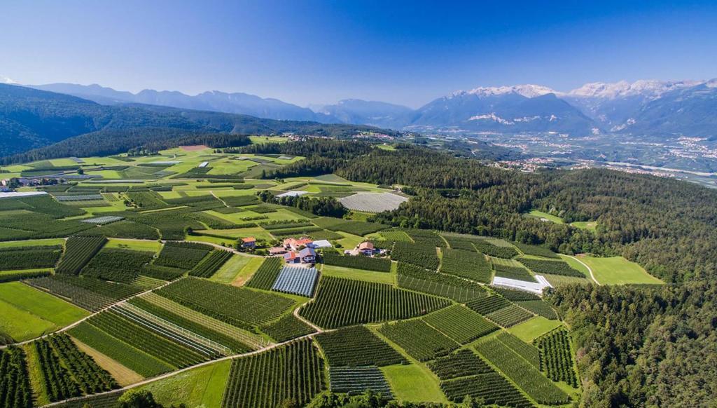 Вілла Agritur Maso San Bartolomeo Romeno Екстер'єр фото